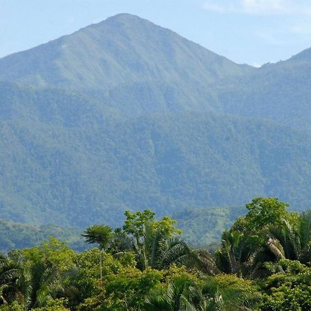 Villa Kiskadee - Beautiful Mountain Views With Private Pool Quepos Exterior photo